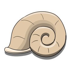 Helix shell