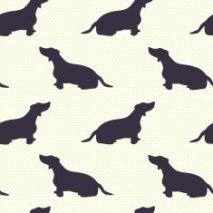 Dogs pattern N2