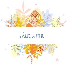 Autumn N45