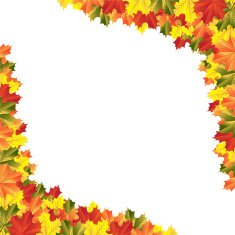 autumn maple leaves N2