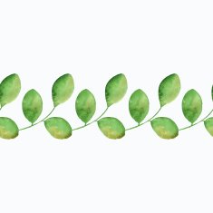 Watercolor branch with leaves Seamless border