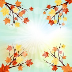 Autumn design N4