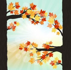Autumn design N5