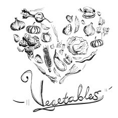 Hand drawn vegetables set with white background