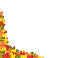 autumn maple leaves N3
