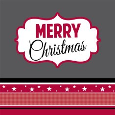 Christmas Greeting design vector illustration