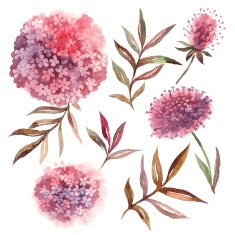 Watercolor floral set Collection with leaves and flowers paint