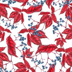 Watercolor virginia creeper