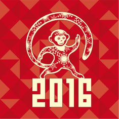 New Year's fire monkey