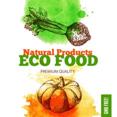 Eco food menu background Watercolor and hand drawn sketch veget N4