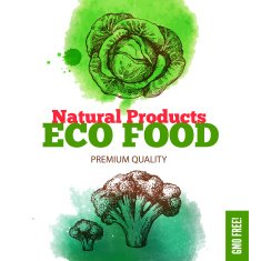 Eco food menu background Watercolor and hand drawn sketch veget N6