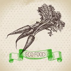 Hand drawn sketch carrots vegetable Eco food background Vector