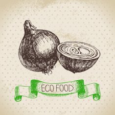 Hand drawn sketch onion vegetable Eco food background Vector il