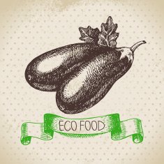 Hand drawn sketch eggplant vegetable Eco food background Vector