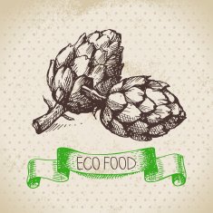 Hand drawn sketch artichoke vegetable Eco food background Vecto