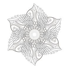 exquisite mandala pattern design N11