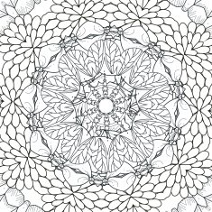 exquisite mandala pattern design N18