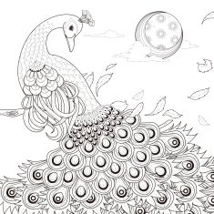 graceful peacock coloring page N2