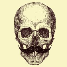 vector skull N7