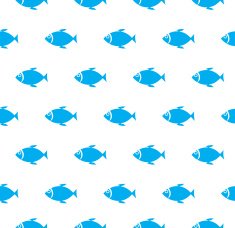 Fish Pattern N27