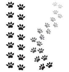 Animal Paw Prints N8