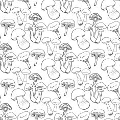 Hand drawn mushrooms seamess pattern Doodle vector background with edible N2
