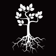 White Tree and Roots N2
