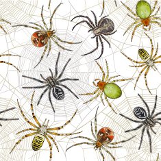 Halloween seamless pattern with spiders on web