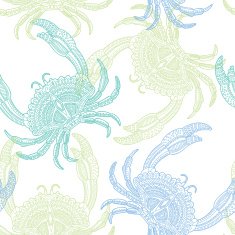 crab2 N2