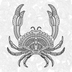 crab1 N2