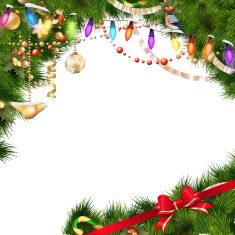 Christmas tree branches on white EPS 10