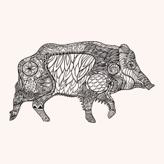 Ornated boar N2