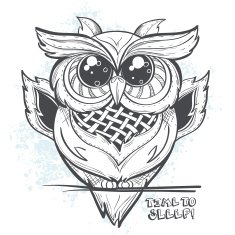 Owl vector illustration - time to sleep