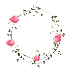 The floral concept of circle frame N9