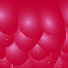 Texture raspberries N2