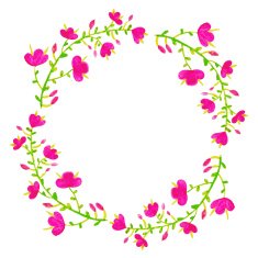 Vector flowers set