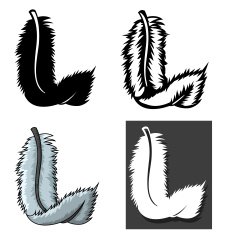 Set of Feathers types with different concept N3