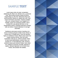 Geometric vector pattern N211