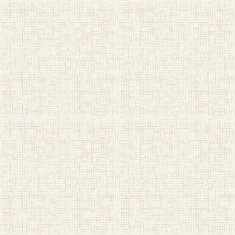 Seamless texture of canvas N2