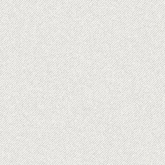 Seamless texture of canvas N3