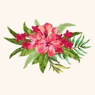 Bouquet of tropical flowers N2