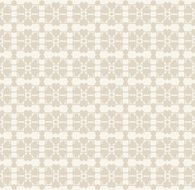 Vector Floral lace vintage rustic seamless pattern N2