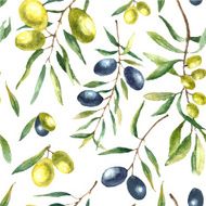 Watercolor olive branch background N4