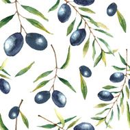 Watercolor olive branch background N6