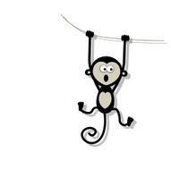 Funny monkey for your design N12