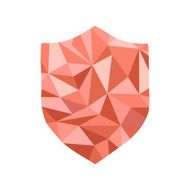Polygonal guard Icon with geometrical figures