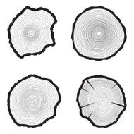 Set Tree rings background Annual tree