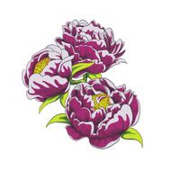 Vector Flowers N5