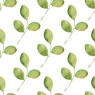 Pattern with branches Watercolor leaves Vector seamless pattern 2 N2