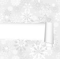 Snowflakes Pattern With Torn Stripe N2
